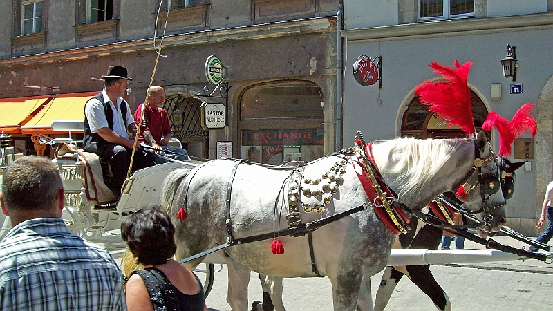 Krakow-2til11-07-2008338_edited-1.JPG