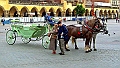 Krakow-green-wagon-285