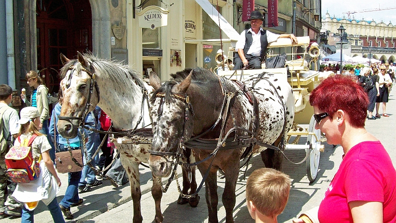 Krakow-2til11-07-2008270_edited-1.JPG