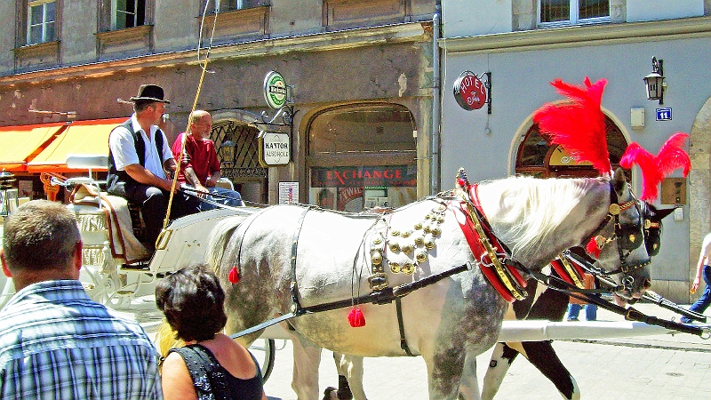 Krakow-2til11-07-2008338_edited-1.JPG