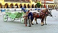Krakow-green-wagon-285